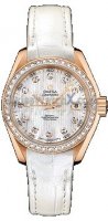 Omega Aqua Terra 150m Ladies 231.58.30.20.55.001