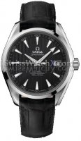 Omega Aqua Terra 231.13.42.21.06.001