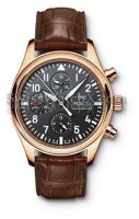 Les pilotes IWC Montre classique IW371713