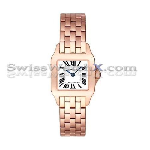 Santos Demoiselle Cartier W25073X9