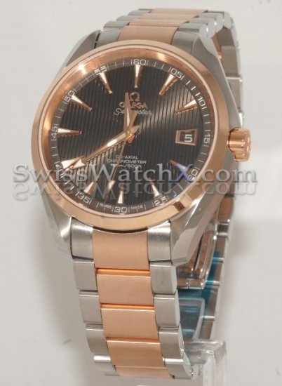 Omega Aqua Terra 150m Gents 231.20.42.21.06.001